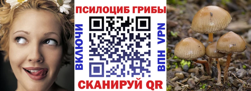 закладка  Бирск  Галлюциногенные грибы GOLDEN TEACHER 